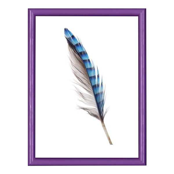 Picoglass Cornice Campese Viola 20X30 Picoglass Cornice Campese Viola 20X30